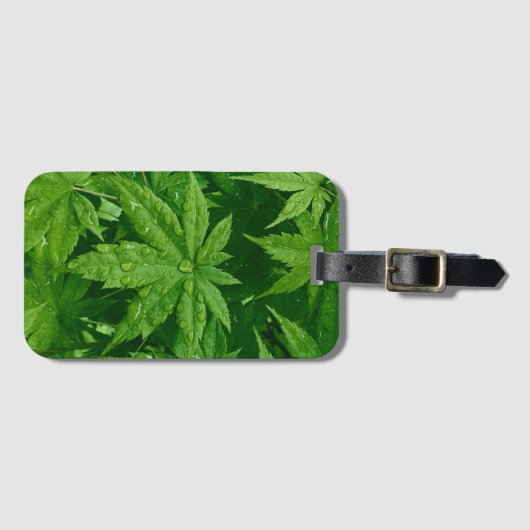 メープル春 ラゲッジタグ (正面横)