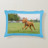 メープル漫画と実在ライフピロー アクセントクッション (裏面)