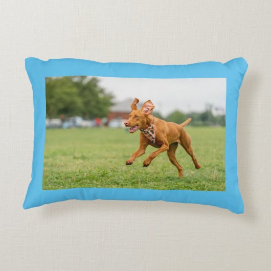 メープル漫画と実在ライフピロー アクセントクッション (裏面)