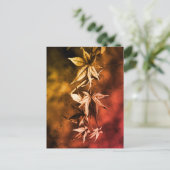 メープル素朴日本のリーフポートレート ポストカード (スタンド正面)