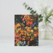 メープル葉はがき ポストカード (スタンド正面)