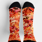 メープル葉ズクルーソックス ソックス (上部)