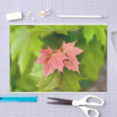 メープル葉型2 薄葉紙 (クラフト)