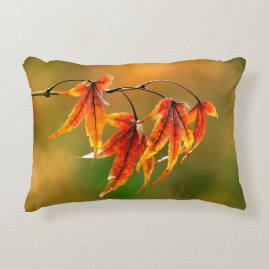 メープル葉日本の アクセントクッション (正面)