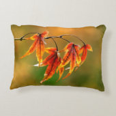 メープル葉日本の アクセントクッション (裏面)