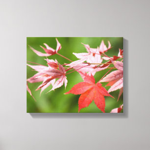 メープル葉日本の キャンバスプリント
