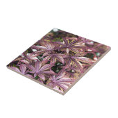 メープル葉日本の タイル (側面)