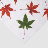 メープル葉日本の 薄葉紙 (詳細)