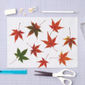 メープル葉日本の 薄葉紙 (クラフト)