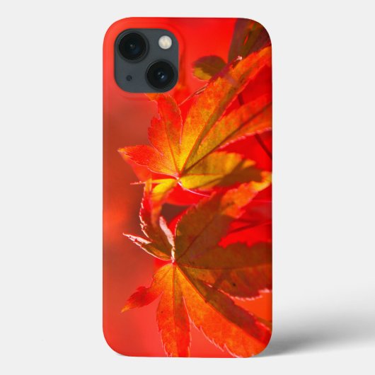 メープル葉日本の Case-Mate iPhoneケース (裏面)