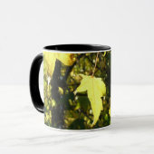 メープル葉秋、秋 マグカップ (正面左)