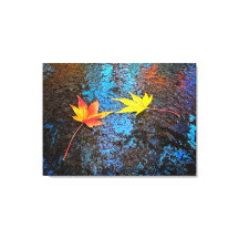 メープル葉落ちたの