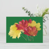 メープル葉 シーズンカード (スタンド正面)