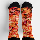 メープル葉 ソックス (上部)