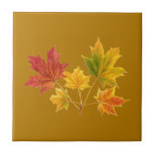 メープル葉 タイル (正面)