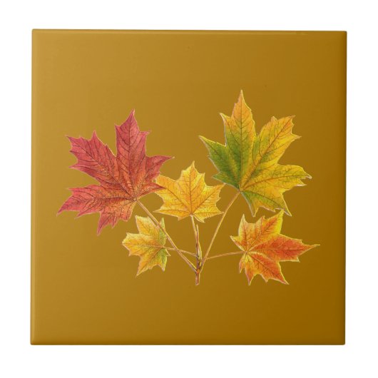 メープル葉 タイル (正面)