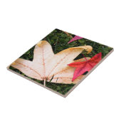 メープル葉 タイル (側面)