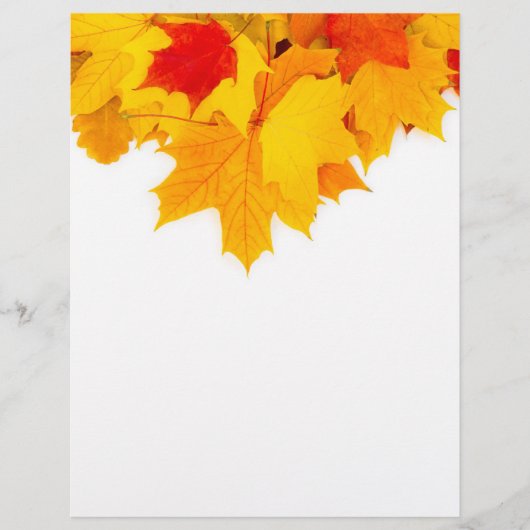 メープル葉 チラシ (正面)