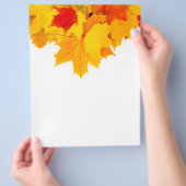 メープル葉 チラシ (手)