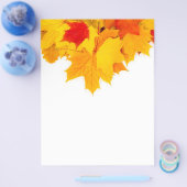 メープル葉 チラシ (シングル)