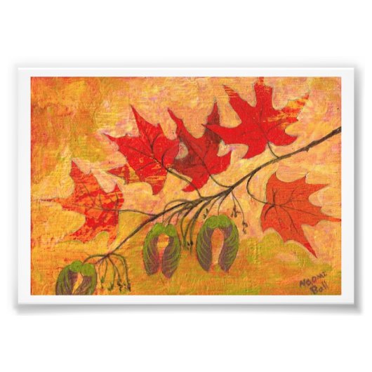 メープル葉 フォトプリント            (正面)