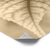 メープル葉 ポスター (角)