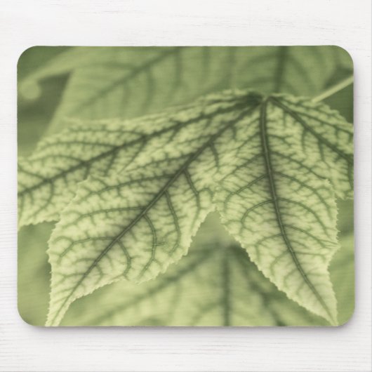 メープル葉 マウスパッド (正面)
