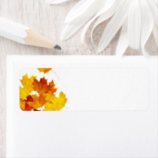 メープル葉 ラベル (インサイチュ)