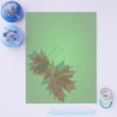 メープル離れフライヤー チラシ (シングル)