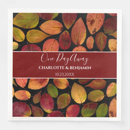 メープル離れ秋秋のパターンリハーサル (正面)