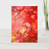 メープル カード (正面)