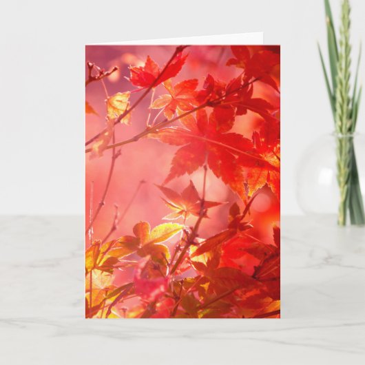 メープル カード (正面)