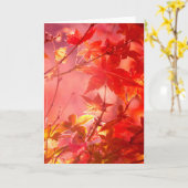 メープル カード (黄色い花)