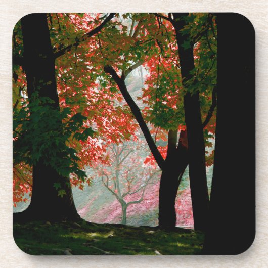 メープル コースター (正面)