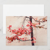 メープル シーズンカード (正面/裏面)