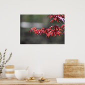 メープル・ツリー。 ポスター (キッチン)