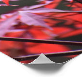 メープル・ツリー。 ポスター (角)