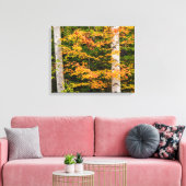 メープル&ホワイト樺の木 |ホワイトマウンテンズ， NH キャンバスプリント (インサイチュ (リビング))