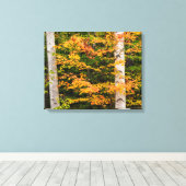 メープル&ホワイト樺の木 |ホワイトマウンテンズ， NH キャンバスプリント (インサイチュ (ウッドフロア))