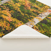 メープル&ホワイト樺の木 |ホワイトマウンテンズ， NH シェルパブランケット (3/4)