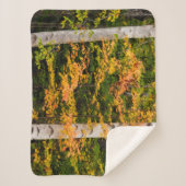 メープル&ホワイト樺の木 |ホワイトマウンテンズ， NH シェルパブランケット (正面)