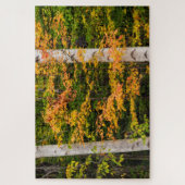 メープル&ホワイト樺の木 |ホワイトマウンテンズ, NH ジグソーパズル (縦)