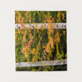 メープル&ホワイト樺の木 |ホワイトマウンテンズ， NH タペストリー (正面)