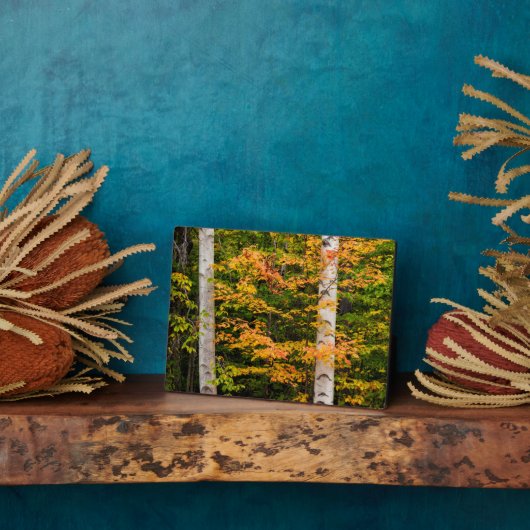 メープル&ホワイト樺の木 |ホワイトマウンテンズ, NH フォトプラーク (側面)