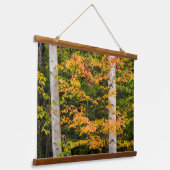 メープル&ホワイト樺の木 |ホワイトマウンテンズ, NH 吊り下げ型タペストリー (傾斜あり)