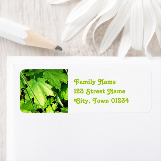 メープル ラベル (インサイチュ)