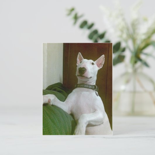 メーラ ポストカード (スタンド正面)