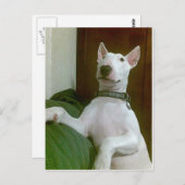 メーラ ポストカード (正面/裏面)