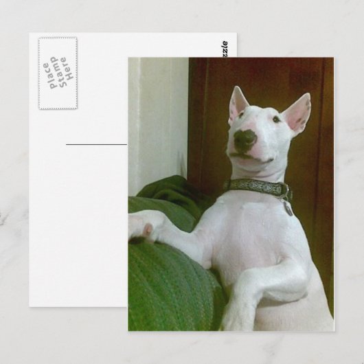 メーラ ポストカード (正面/裏面)