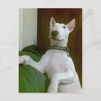 メーラ ポストカード